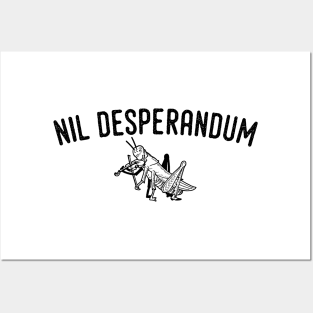 NIL DESPERANDUM Posters and Art